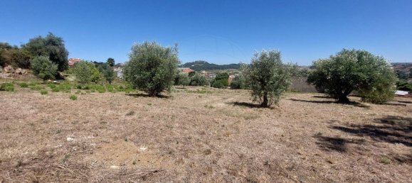 2033m² Land in Ourem, Portugal No. 92341 11