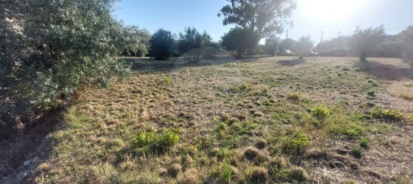 2033m² Land in Ourem, Portugal No. 92341 17