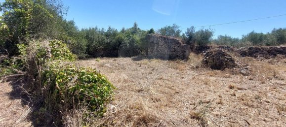 2033m² Land in Ourem, Portugal No. 92341 3