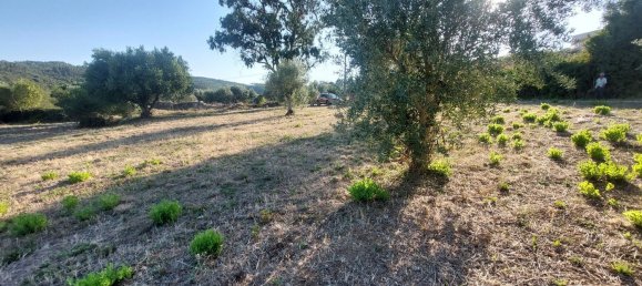 2033m² Land in Ourem, Portugal No. 92341 21
