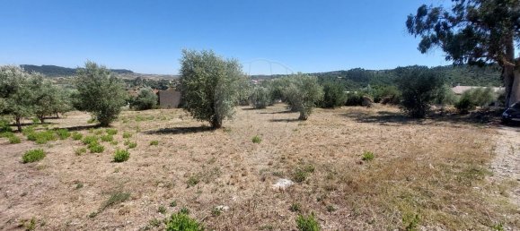 2033m² Land in Ourem, Portugal No. 92341 10