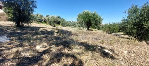 2033m² Land in Ourem, Portugal No. 92341 4