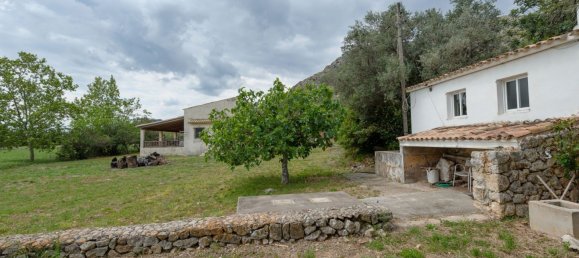 6-Zimmer Grundstück in Mallorca, Spain, Nr. 30652 12