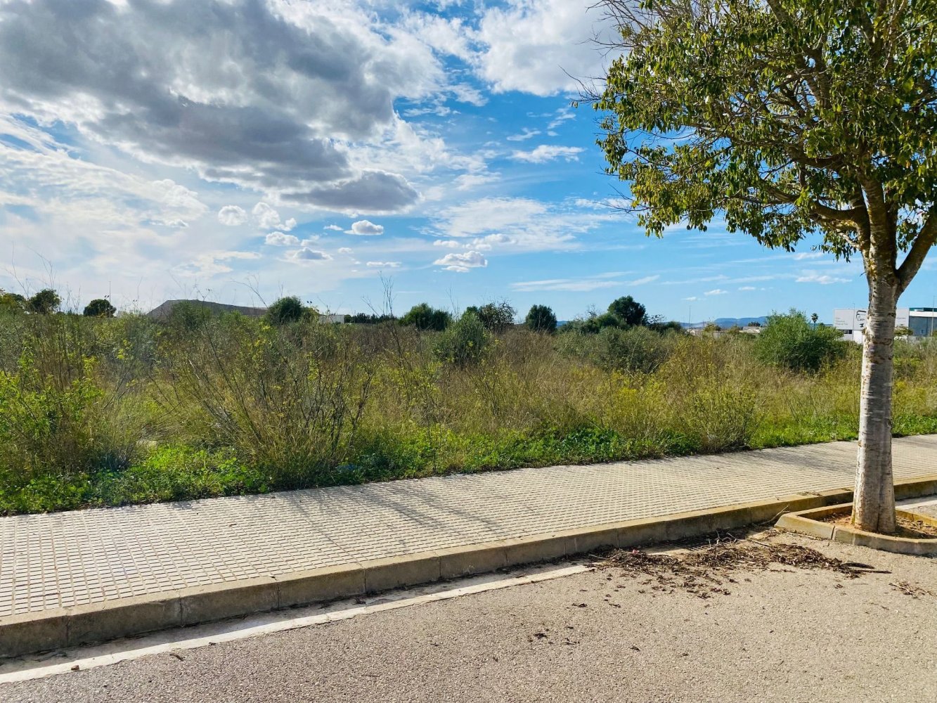 500m² Land in Felanitx, Spain No. 63969