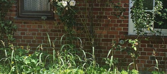 Casa de 10 habitaciónes en Verden, Germany No. 282817 9