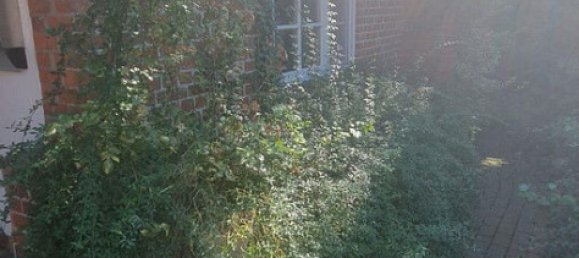 Casa de 10 habitaciónes en Verden, Germany No. 282817 16