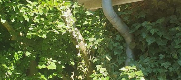 Casa de 10 habitaciónes en Verden, Germany No. 282817 10