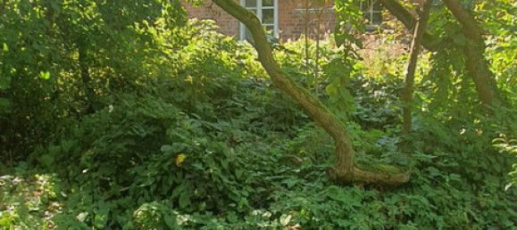 Casa de 10 habitaciónes en Verden, Germany No. 282817 24