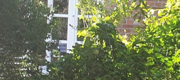 Casa de 10 habitaciónes en Verden, Germany No. 282817 22