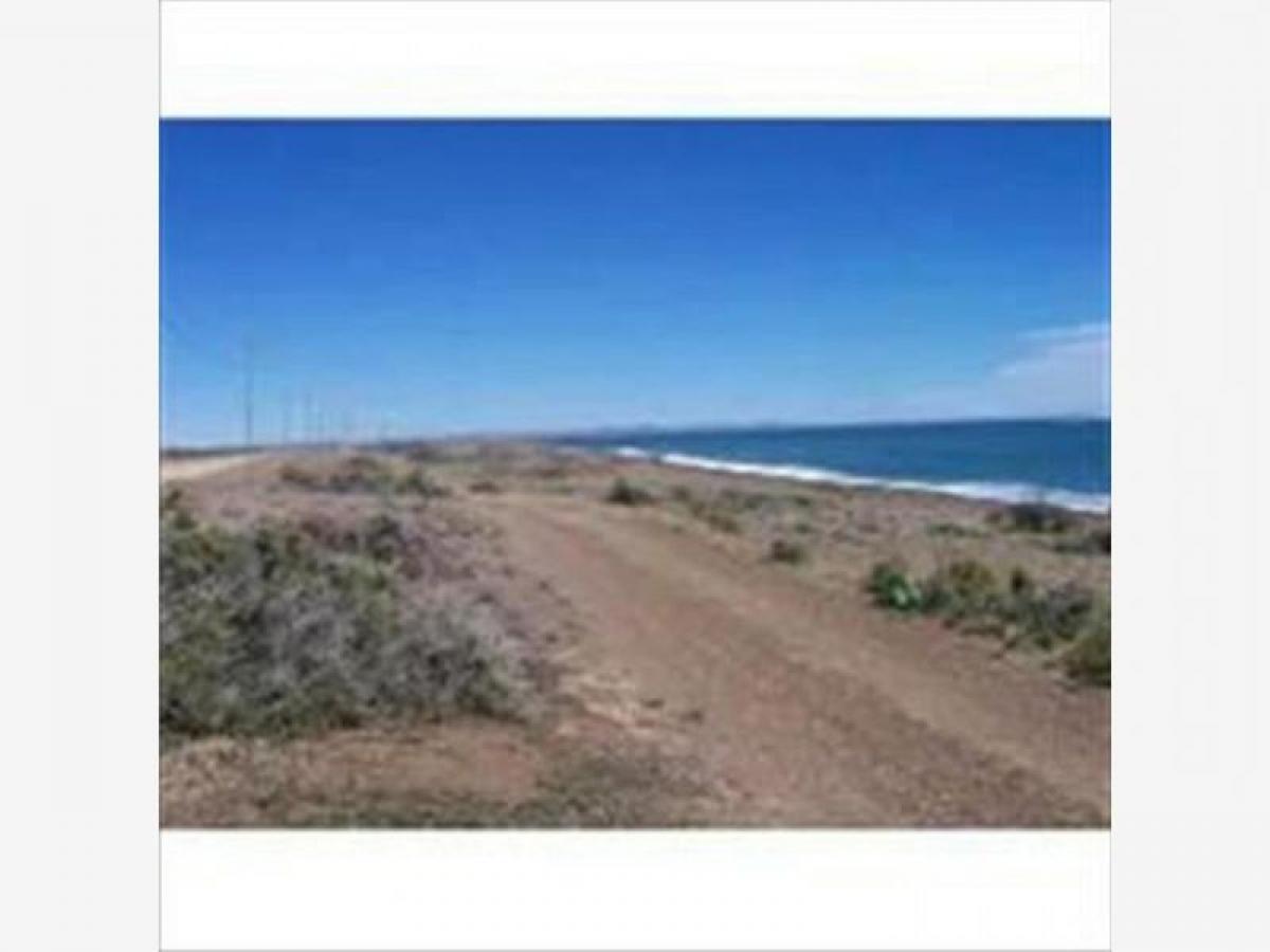 Terrain à Chubut, Argentina No. 50128