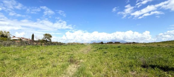 11500m² Land in Collesalvetti, Italy No. 14935 2