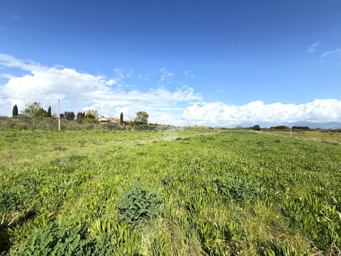 11500m² Land in Collesalvetti, Italy No. 14935