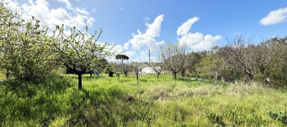 11500m² Land in Collesalvetti, Italy No. 14935 4