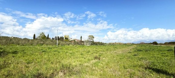 11500m² Land in Collesalvetti, Italy No. 14935 3