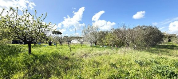 11500m² Land in Collesalvetti, Italy No. 14935 6