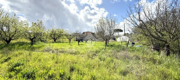 11500m² Land in Collesalvetti, Italy No. 14935 5
