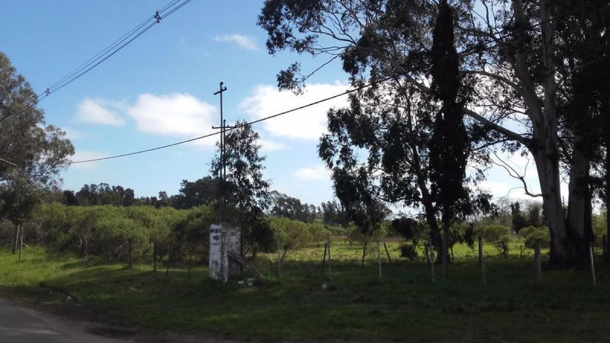 Terreno em Mar del Plata, Argentina N.º 118731