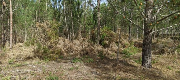 2 Schlafzimmer Haus in Alcobaca, Portugal, Nr. 77429 6