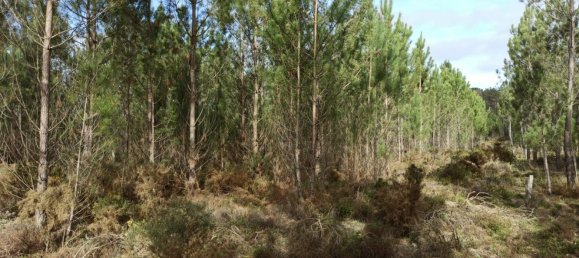 2 Schlafzimmer Haus in Alcobaca, Portugal, Nr. 77429 7