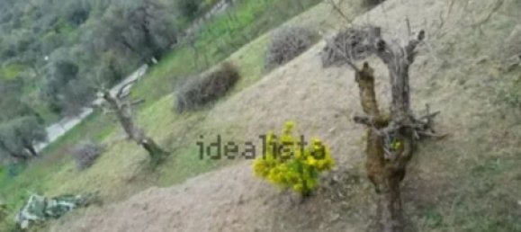 Casa de 14 habitaciónes en Orria, Italy No. 295219 16