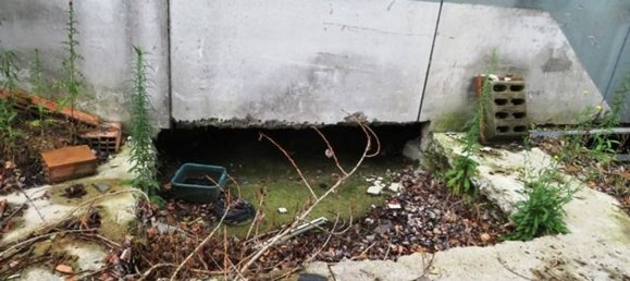 Склад 950м² в Арджелато, Италия № 63876 21