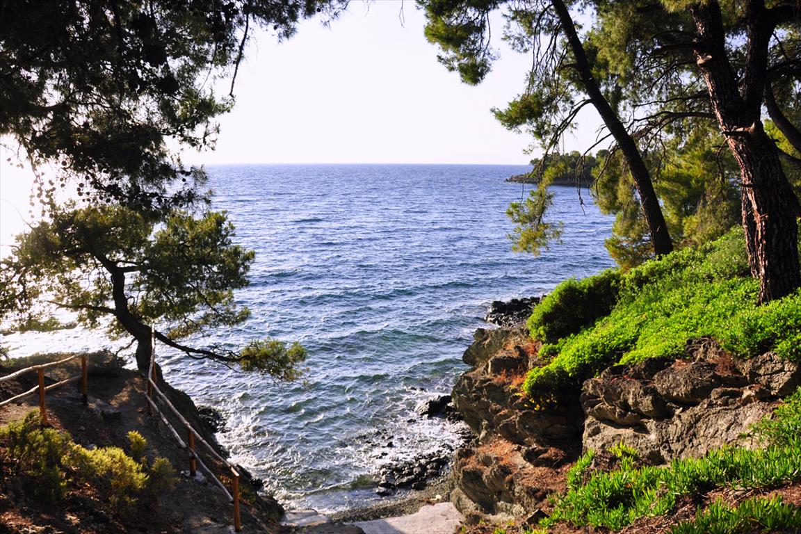 Hotel em Chalkidiki, Greece 3800 m² N.º 56607