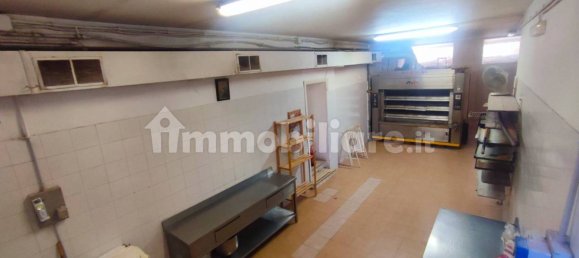 3-Zimmer Gewerbliche Immobilie in Manziana, Italy, Nr. 305726 27