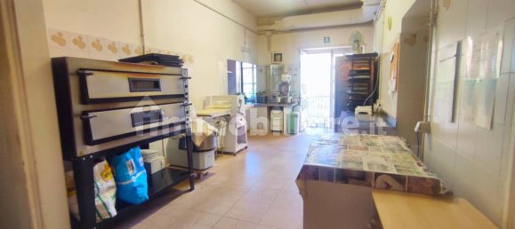 3-Zimmer Gewerbliche Immobilie in Manziana, Italy, Nr. 305726 12