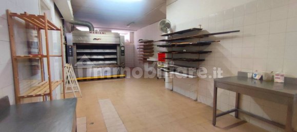 3-Zimmer Gewerbliche Immobilie in Manziana, Italy, Nr. 305726 23