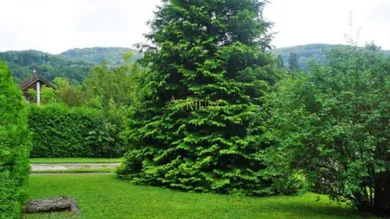  قطعة أرض في Eichgraben, Austria رقم 44286