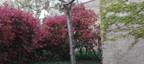 5 bedrooms House in Torella del Sannio, Italy No. 370775 22