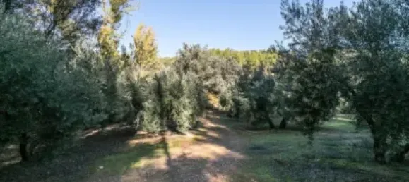  قطعة أرض في Granada, Spain رقم 108052 11