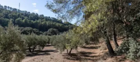  قطعة أرض في Granada, Spain رقم 108052 7