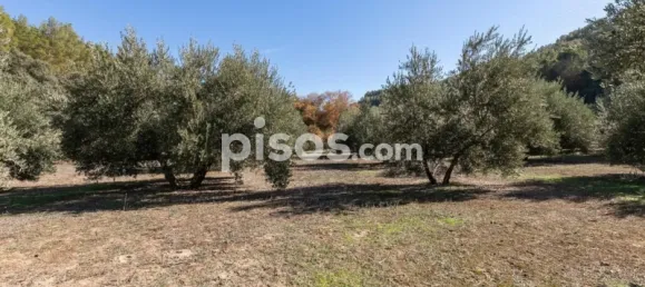  قطعة أرض في Granada, Spain رقم 108052 10