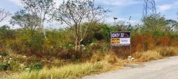 Grundstück in Merida, Mexico, Nr. 121508 2