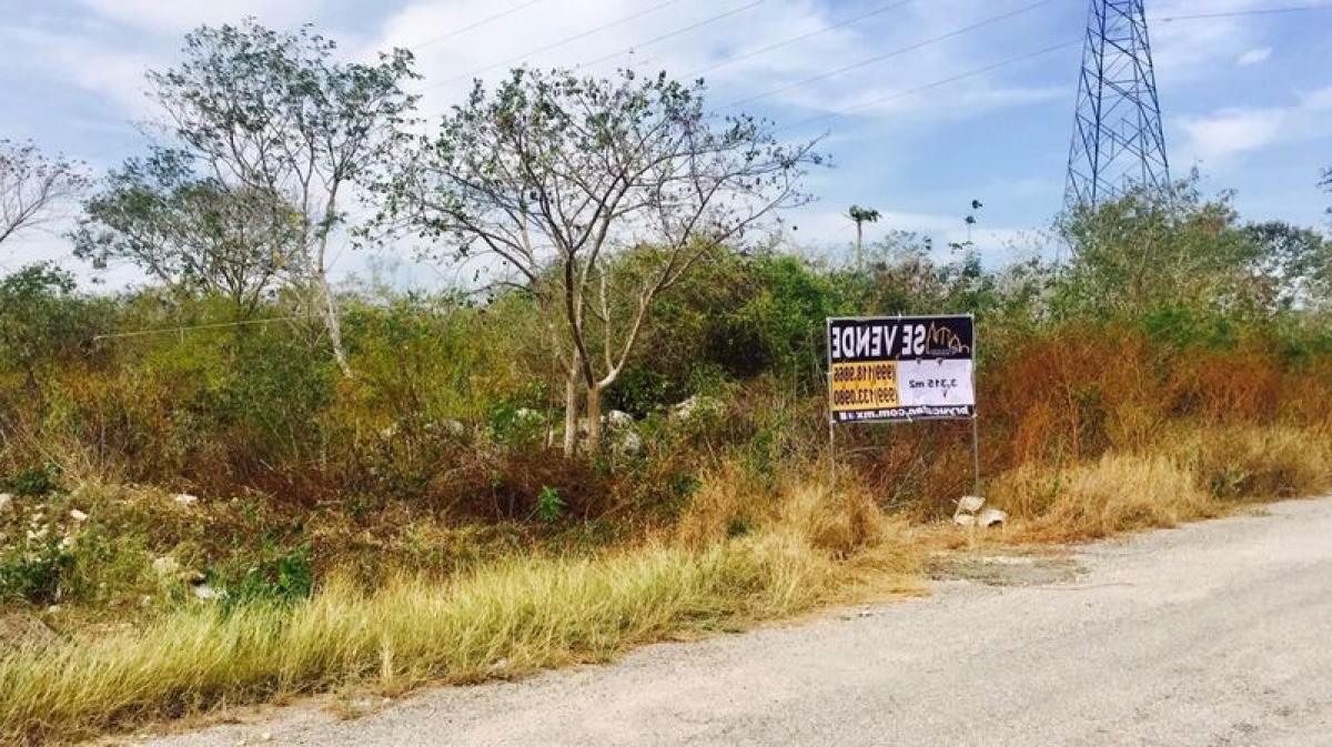 Grundstück in Merida, Mexico, Nr. 121508