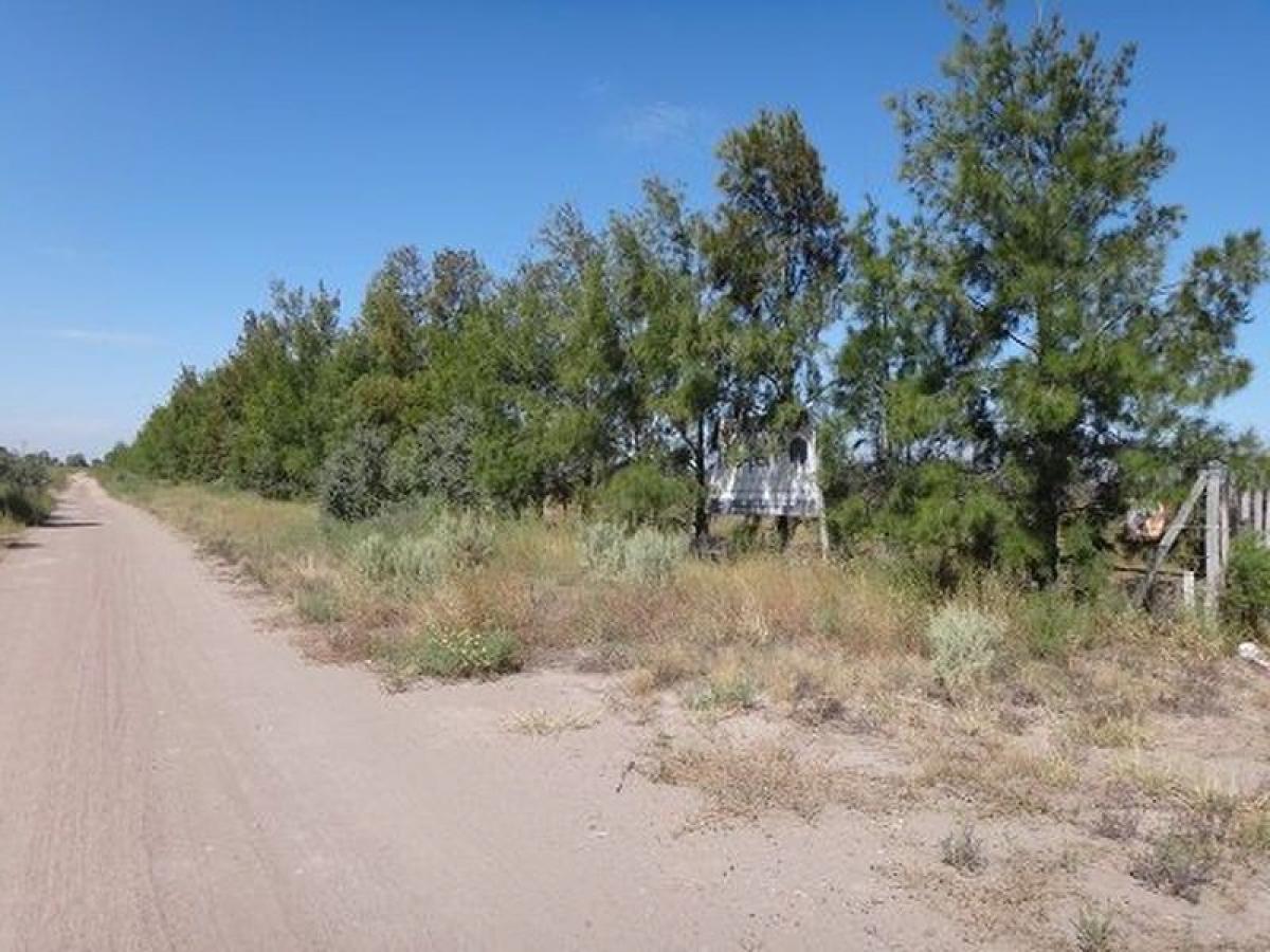  مزرعة في Mendoza, Argentina رقم 34430