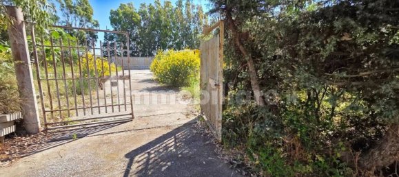 3 rooms Warehouse in Sardinia, Italy No. 336149 6