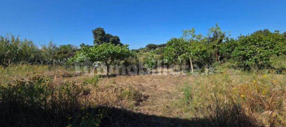 3 rooms Warehouse in Sardinia, Italy No. 336149 25