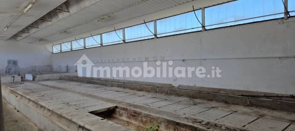 3غرفة مستودع في Sardinia, Italy رقم 336149 29