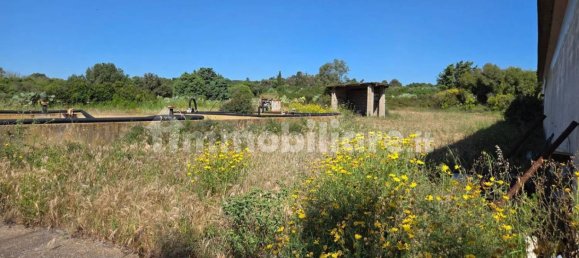 3 rooms Warehouse in Sardinia, Italy No. 336149 24