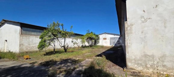 3غرفة مستودع في Sardinia, Italy رقم 336149 28