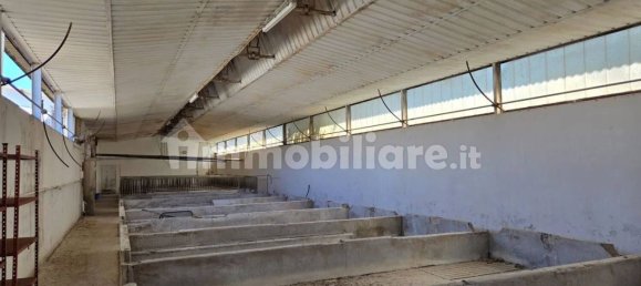 3 rooms Warehouse in Sardinia, Italy No. 336149 4