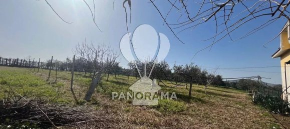 5-salle Villa à Partinico, Italy No. 179139 13