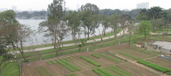 1 Schlafzimmer Wohnung in Hai Ba Trung, Vietnam, Nr. 5880 7