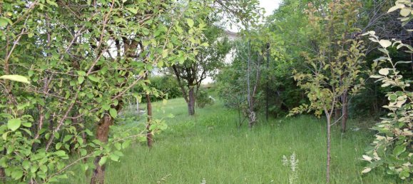 10-Zimmer Haus in Limana, Italy, Nr. 227418 5