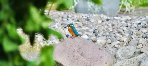 6-Zimmer Haus in Schleswig-Flensburg, Germany, Nr. 360117 23