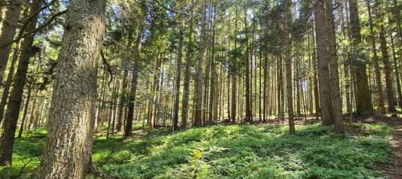 Земельный участок в Венигцелль, Австрия № 130456 8