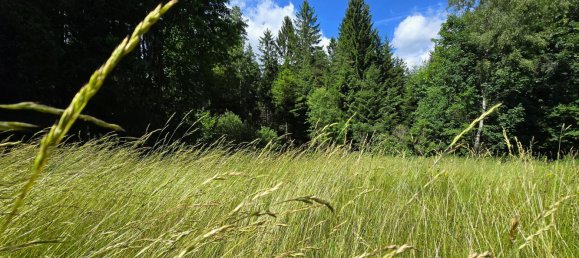 Земельный участок в Венигцелль, Австрия № 130456 4