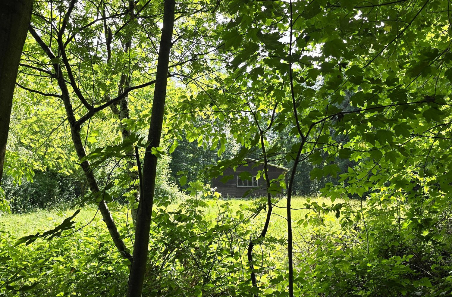 Земельный участок в Венигцелль, Австрия № 130456